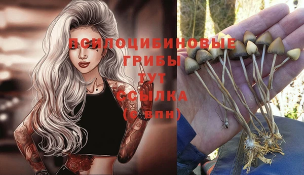 герыч Тихорецк