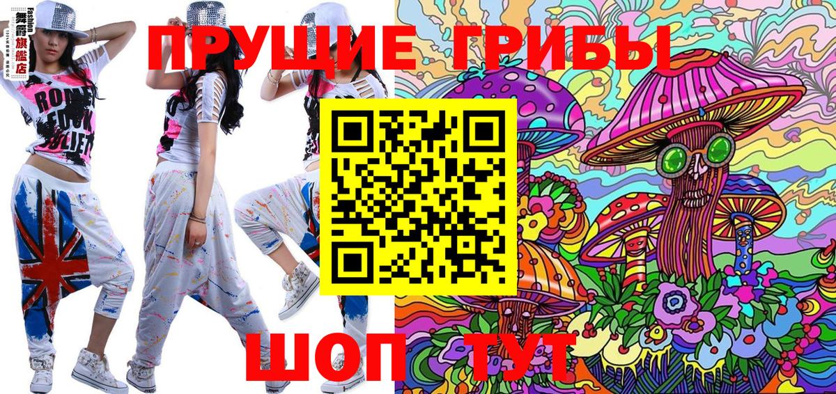 Псилоцибиновые грибы Psilocybe Тамбов