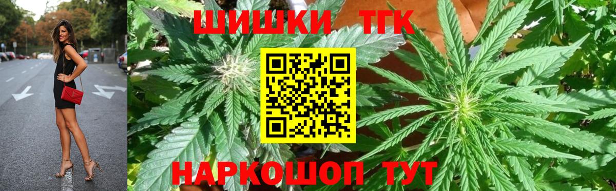 Бошки Шишки планчик Тамбов